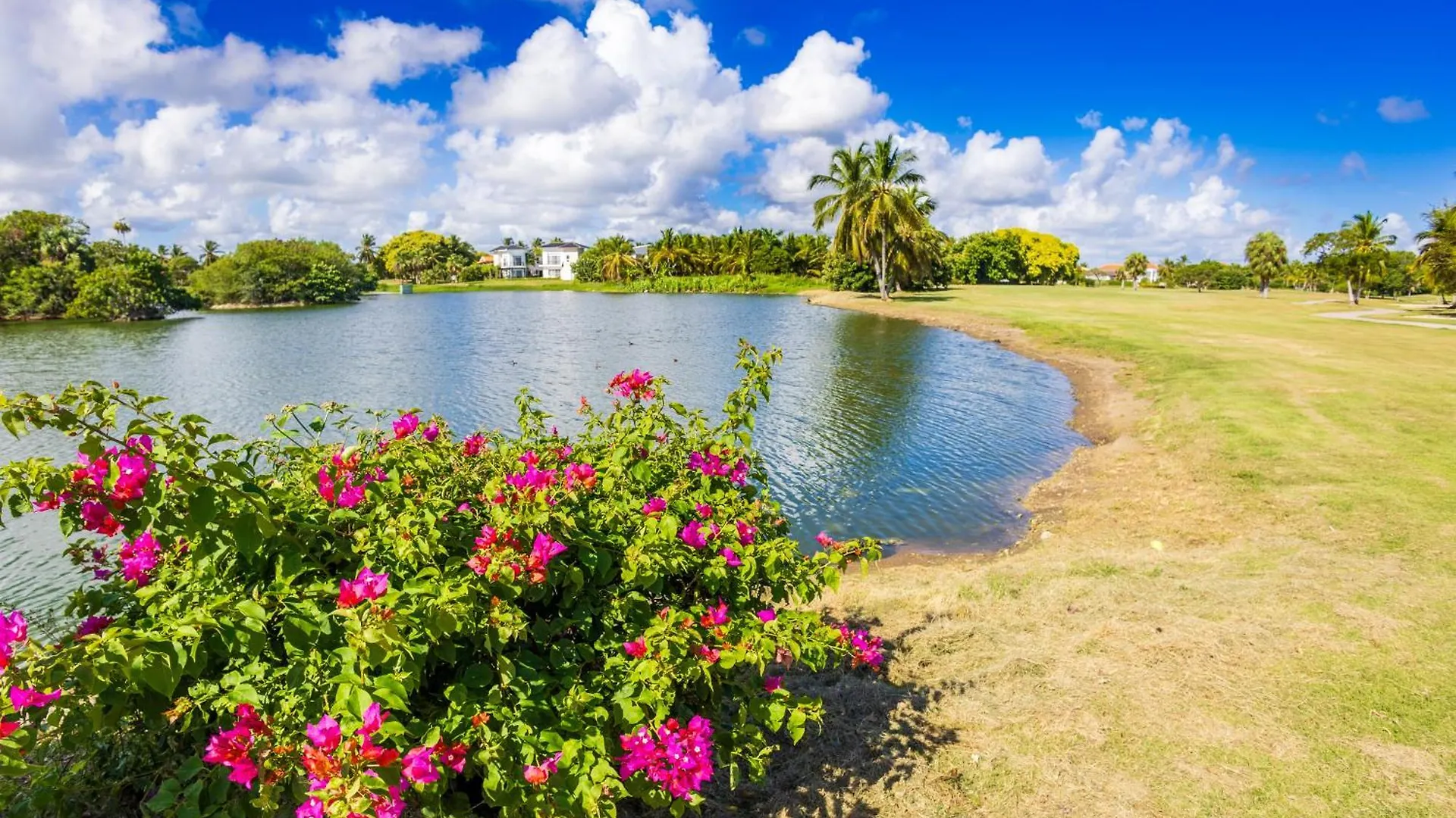 Oasis Cocotal - Family 4Br Apartment In Punta Cana